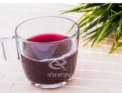 藍(lán)莓果汁 藍(lán)莓果汁